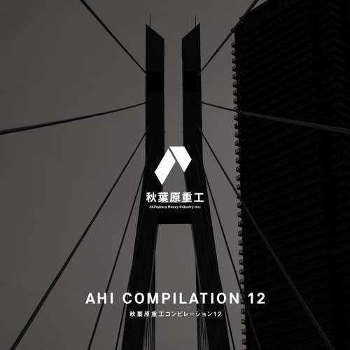 V.A. - AHI COMPILATION 12