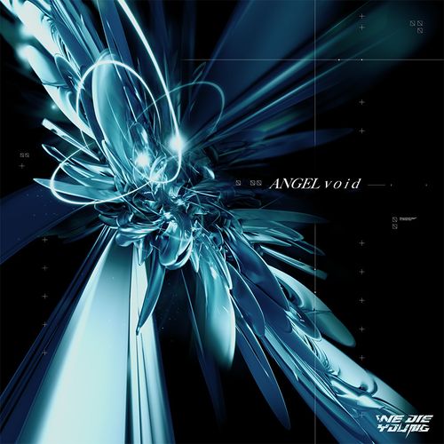 vishnu okuno - ANGELvoid