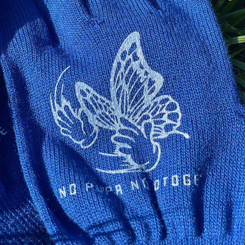 �ڽ�λ�� PUPA ����