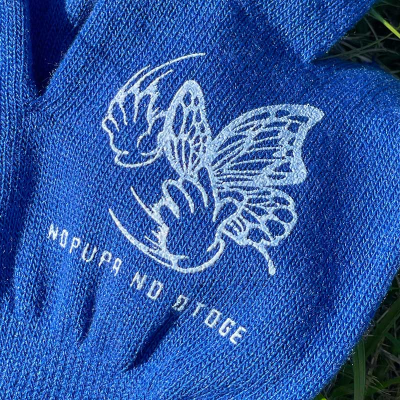 �ڽ�λ�� PUPA ����