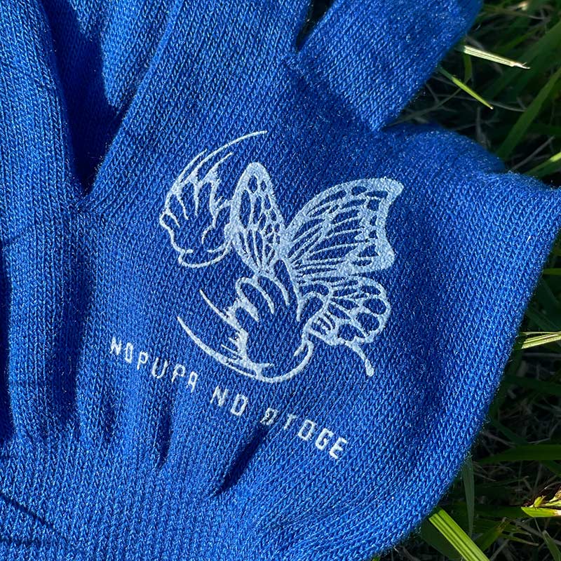 �ڽ�λ�� PUPA ����