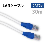 LANケーブル CAT5e 30m
