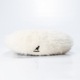 IVORY x M