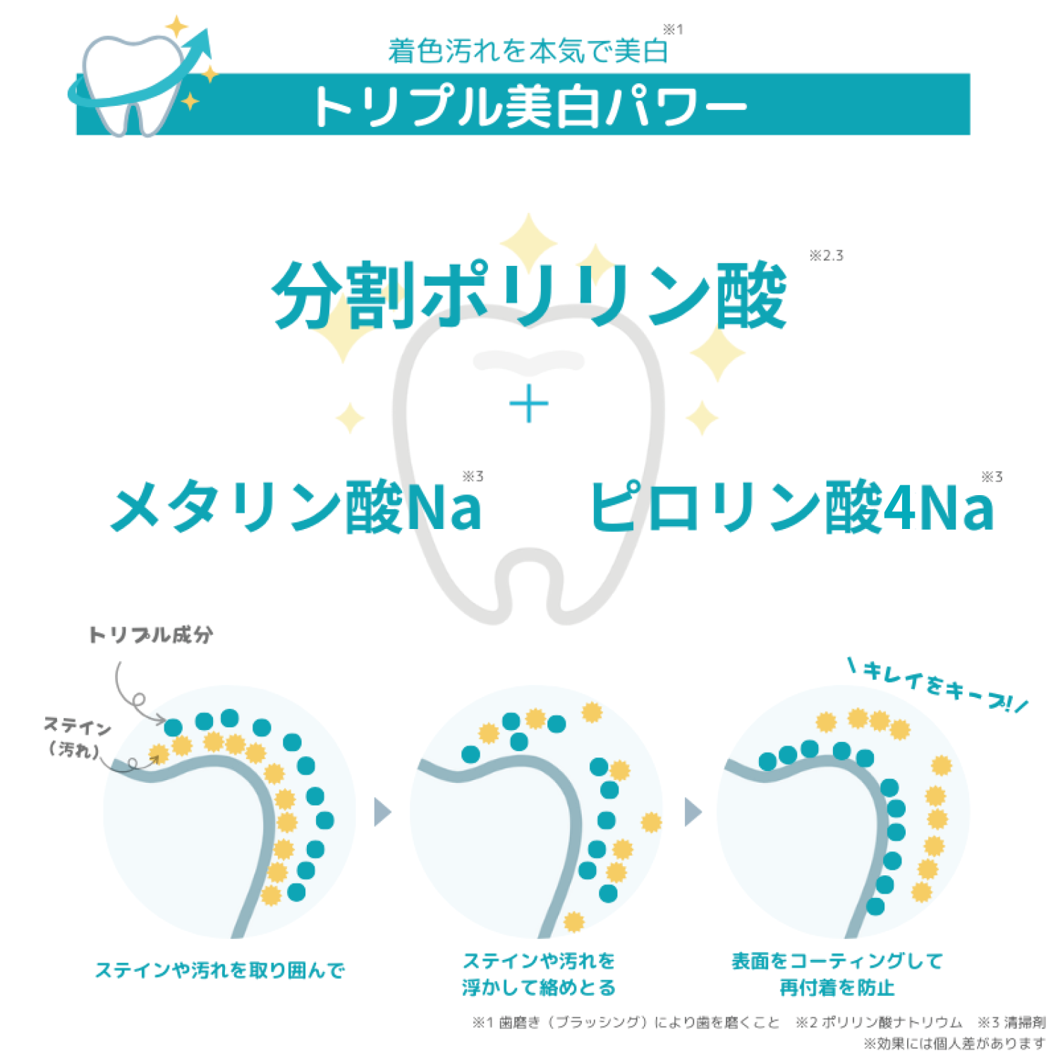 ݥ ܵ ۥ磻ȥ˥󥰥塼֡ʥۥ磻ȥ˥ѥݥ󥸥ϥߥˡ5䥯꡼󡦥ꥢƥ󥰡ĤǤɤǤ⤵äȥۥ磻ȥ˥ ᡼ؤϤʥݥȡ