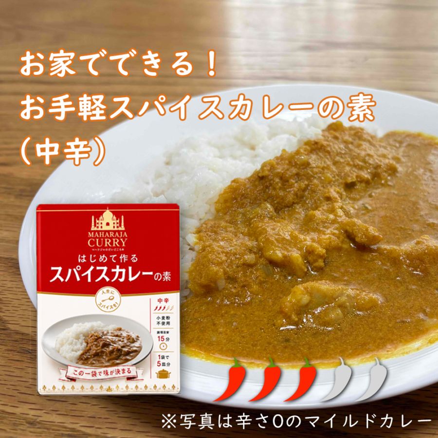 お手軽スパイスカレー/「はじめて作るスパイスカレーの素」中辛（1袋5皿分）【マハラジャのだいどころ】