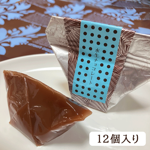 【夏季限定】 水生チョコレート （12個入り）