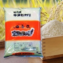 三重県産キヌヒカリ(精米10kg)