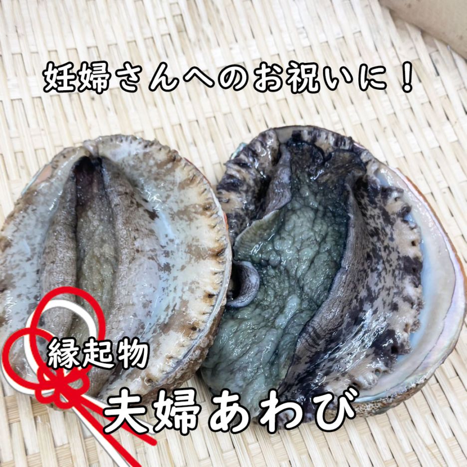 【縁起物】夫婦あわび(白あわび・黒あわび)【冷蔵配送】【送料込】