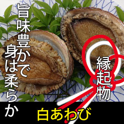 伊勢志摩産 天然白あわび【冷蔵配送】