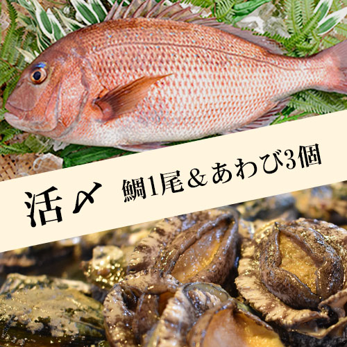 活〆紀州みやび鯛（三重県産）とあわびのセット【送料込】