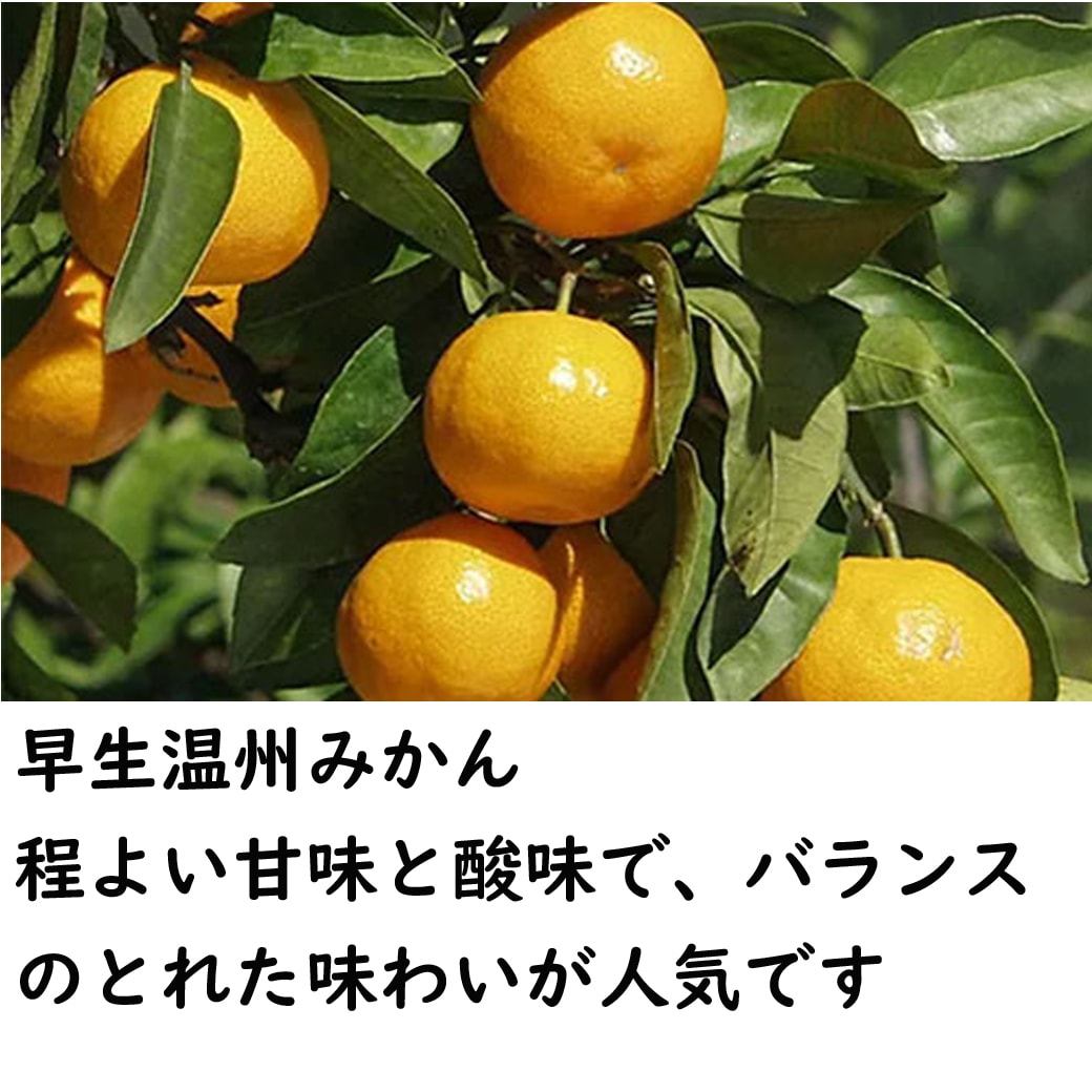 みかんジュース720ml×2（カラマンダリン・温州）MJ-2【送料込