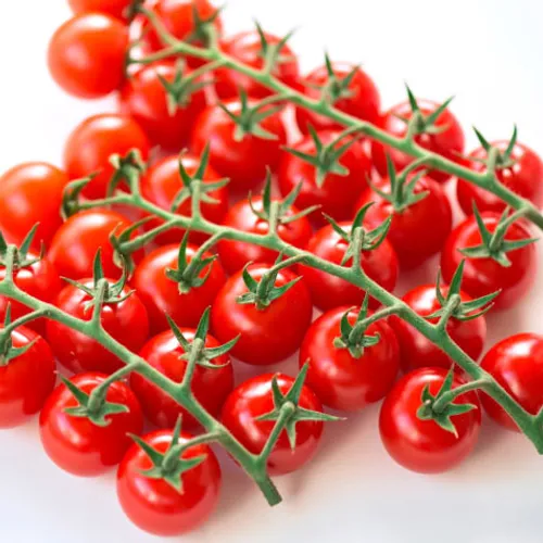 房どりトマトジュース720ml×3 TJ-3【送料込/パーク七里御浜】|リージョ