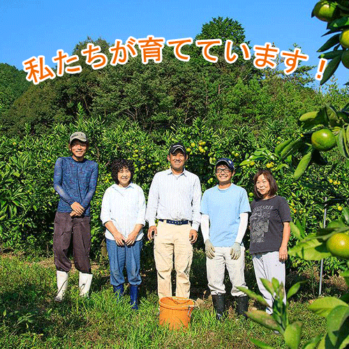 御浜町の100%みかんジュース 720ml×3本(ギフトボックス入り)【送料込