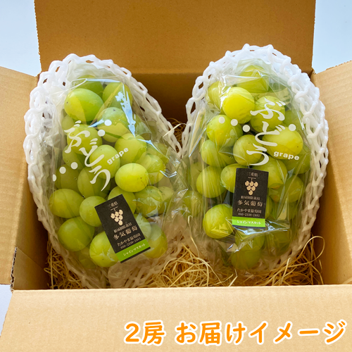 マスカットページ アサヒ 三ツ矢特濃マスカット 500ml| コープこうべネット