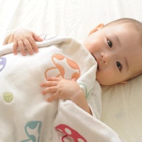 Hoppetta �ۥåڥå� champignon(�����ԥ˥���)  6�ť������٥ӡ����å� �ڥ�åԥ��б���