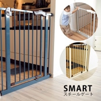 󥻡󥿡ʥʥ Smart 륲