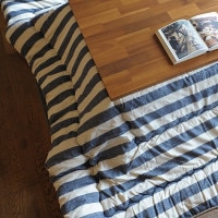 BORDER ������� ���������� ������ �ݤ�ñ�� ��205��205cm