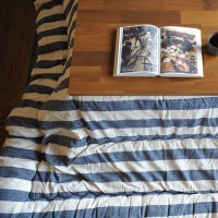 BORDER ������� ���������� Ĺ���� �ݤ�ñ�� ��205��285cm