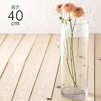 �ե����饹 ���� �⤵40cm