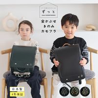 ��2027ǯ�ǡ�  ���ʤ��ߤ��ɤ����餷 ���äȡ����ɥ��롡�����֤������Τ�