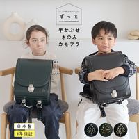 ��2027ǯ�ǡ�  ���ʤ��ߤ��ɤ����餷 ���äȡ����ɥ��롡Ⱦ���֤������Τ�