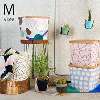 stacksto �����å����ȡ� baquet M TRICOTE