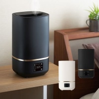 DOSHISHA ɥ 󥿥 Ķȼü mistone300 DKW-2130 mnr-0482