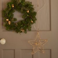 Horn Please �ۡ��� �ץ꡼�� LED �饤�� �ե졼���� �ϥ󥮥� STAR �ڥ�åԥ��б���