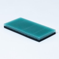 ������ȥ���٥ӡ��ޤ��� ���㥤��ɥե��å�