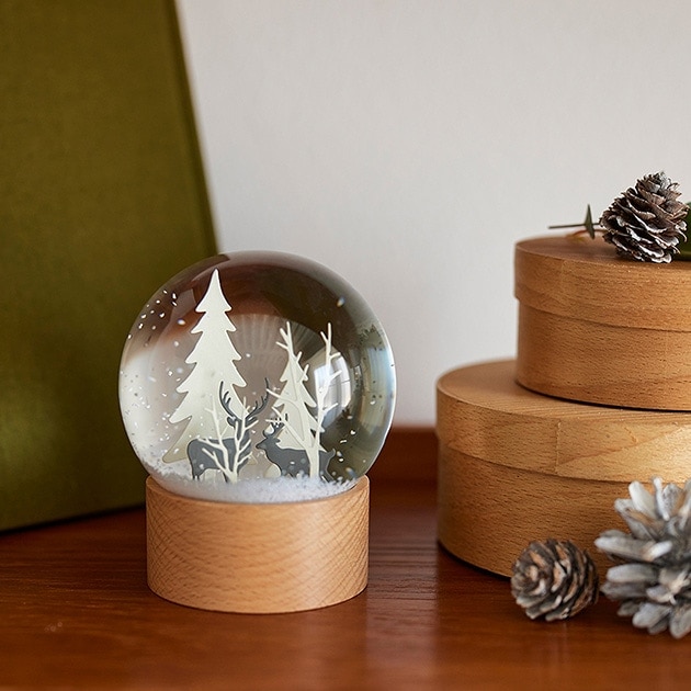 shesay  ƥꥢॹΡɡ ե쥹