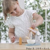Polar B �ݡ��顼�ӡ� �ߥ��������å�