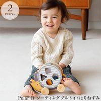 Polar B �ݡ��顼�ӡ� �����ƥ��󥰥ץ�ȥ����Ϥ�ͤ���