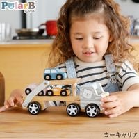 Polar B �ݡ��顼�ӡ� ��������ꥢ