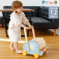 Polar B �ݡ��顼�ӡ� ����ե���ȥХ���