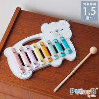 Polar B �ݡ��顼�ӡ� �������ޥ����ե���