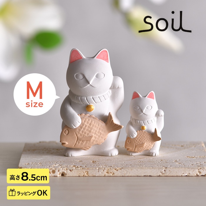 soil ������ �ޥͥ��ͥ� M