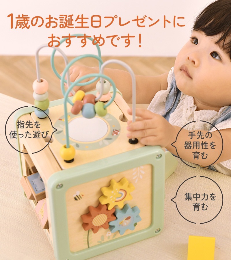 Tooky Toy �ȥ��������ȥ� 5in1 �����ƥ��ӥƥ����塼��