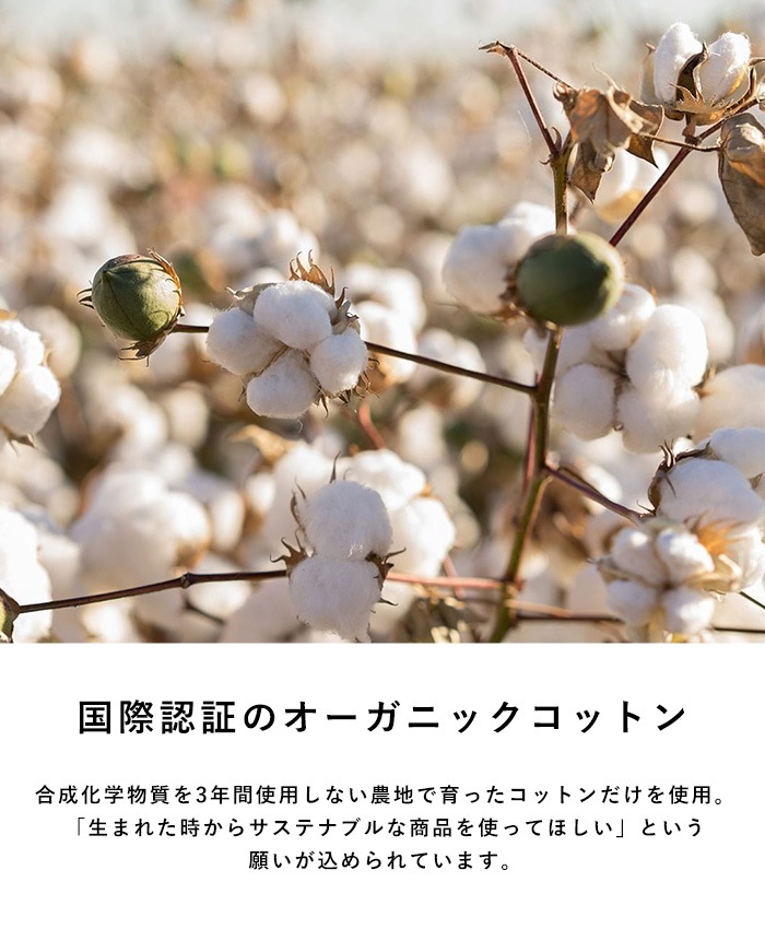 KLIPPAN ����åѥ�������谷Ź�� ����ˡ��륳�åȥ� �ߥ˥֥�󥱥å� �ԥ�ӡ��ࡼ�ߥ�