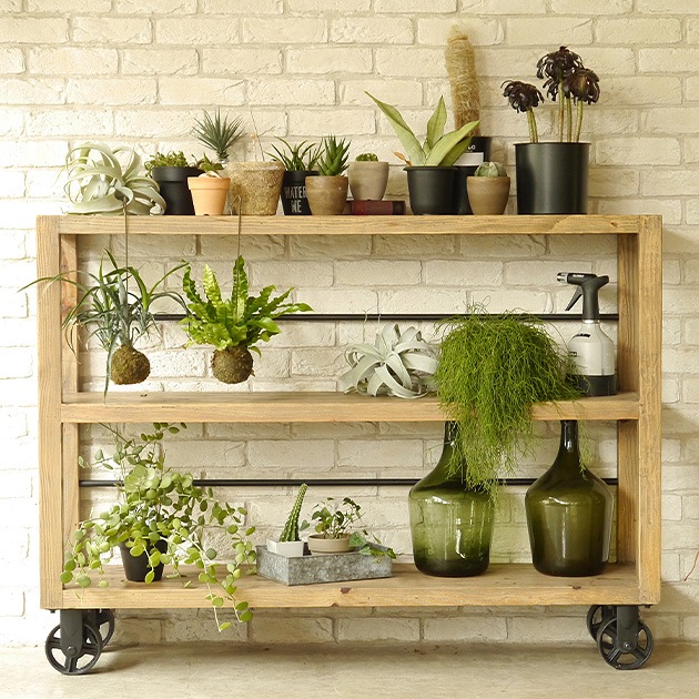 MOSH ��å��� MUT SHELF M �ࡼ�� �������M