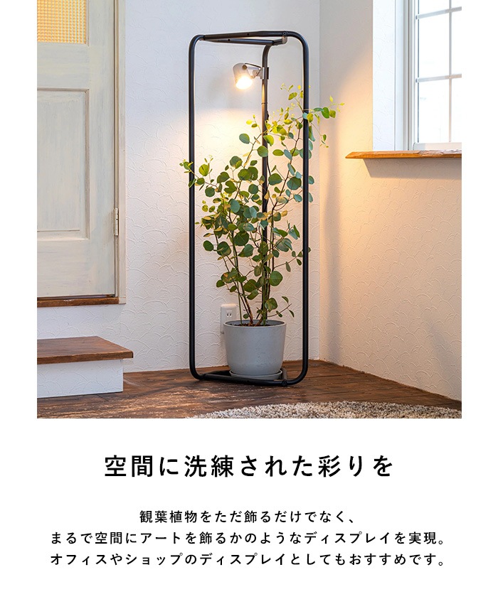 TETSUNAGI �ƥĥʥ� PIPE 3 �֥�å�