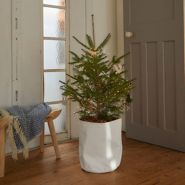 Horn Please ۡ ץ꡼ LED  磻䡼饤 ֥  ڥåԥб