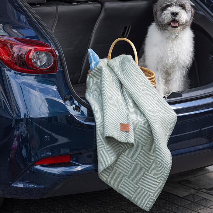 KLIPPAN åѥ谷Ź  ϡե֥󥱥å  MIDI