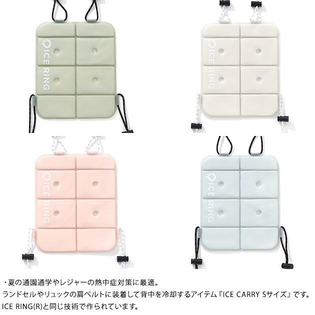 ICE CARRY (S)