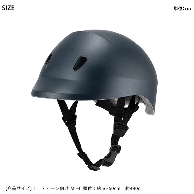 dolphin�ʥɥ�ե���ˡ� ��ž���ѥإ��å�