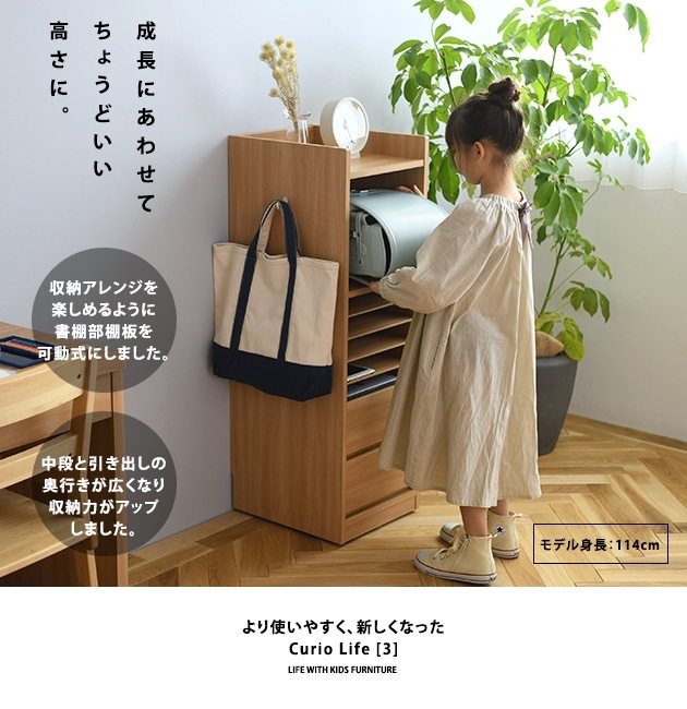 ɤ餷ꥸʥ Curio Life  㥹դ ɥ å