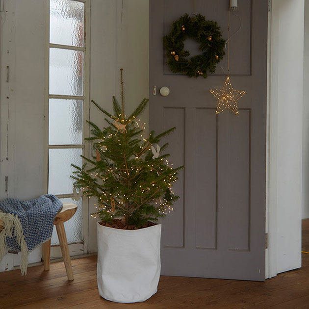 Horn Please �ۡ��� �ץ꡼�� LED �饤�� �ե졼���� �ϥ󥮥� STAR �ڥ�åԥ��б���