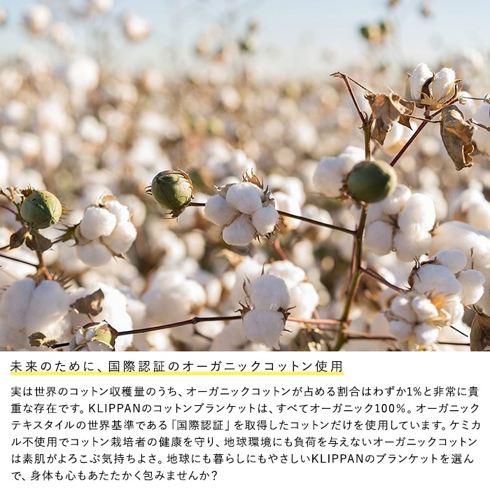 KLIPPAN åѥ谷Ź åȥϡե֥󥱥å ե쥹ȥס