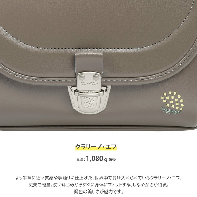 家庭用セルライトケア　ミニセル　セルグレース 2027年度版】 きなこ×こどもと暮らし 【レンタル専用2泊3日】 ずっと