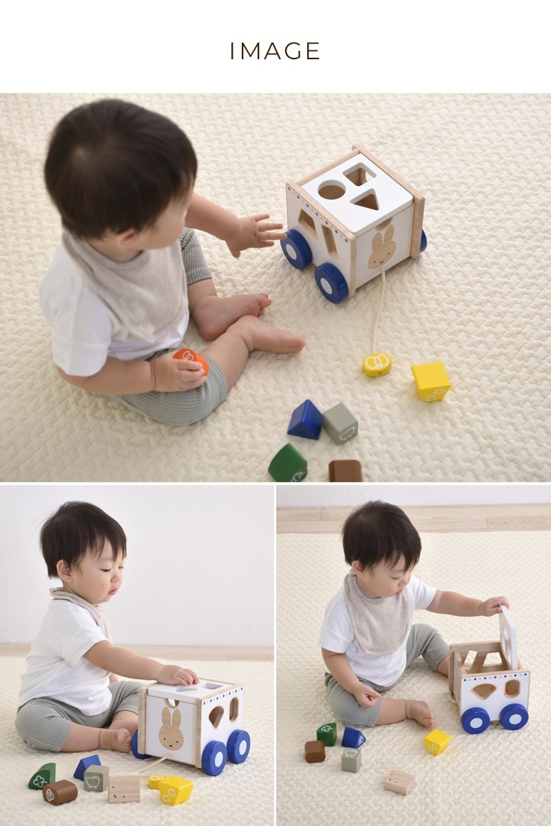 �˥����� ������ݥѥ��륫��