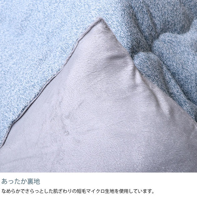 �ץ졼�� ���������� Ĺ���� 200��250cm